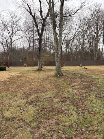 359 Timberline Dr, Smithville, TN 37166