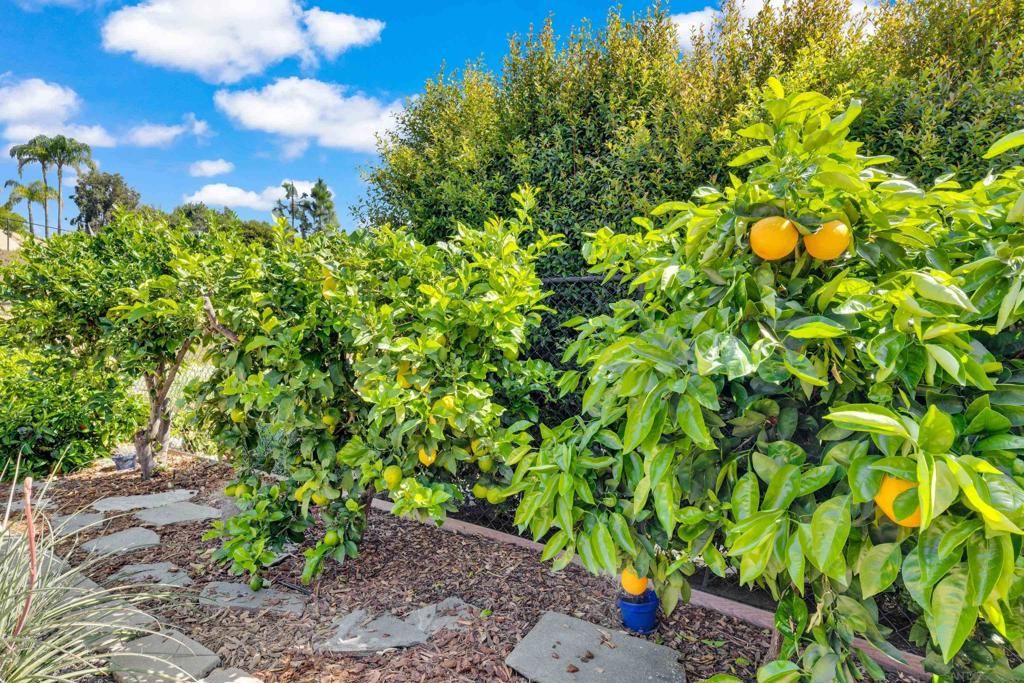 Image 56 of property listing at 17872 Azucar Way, San Diego, CA 92127