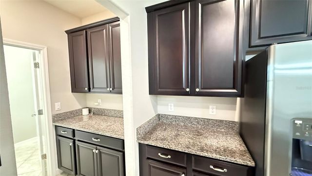 11017 PURPLE MARTIN BOULEVARD, Riverview, FL 33579