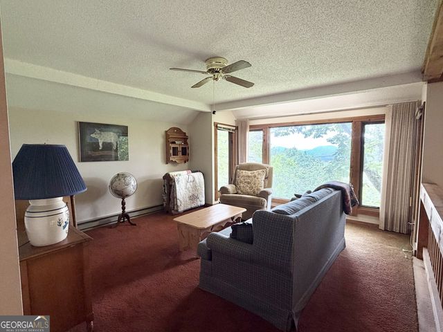 1491 Black Branch Road, Rabun Gap, GA 30568