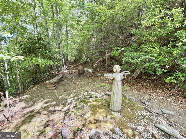 1491 Black Branch Road, Rabun Gap, GA 30568