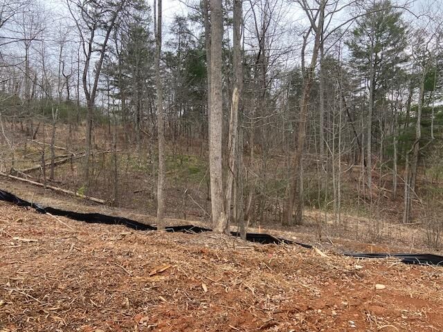 Lot 37 Lakewatch CIR, Moneta, VA 24121
