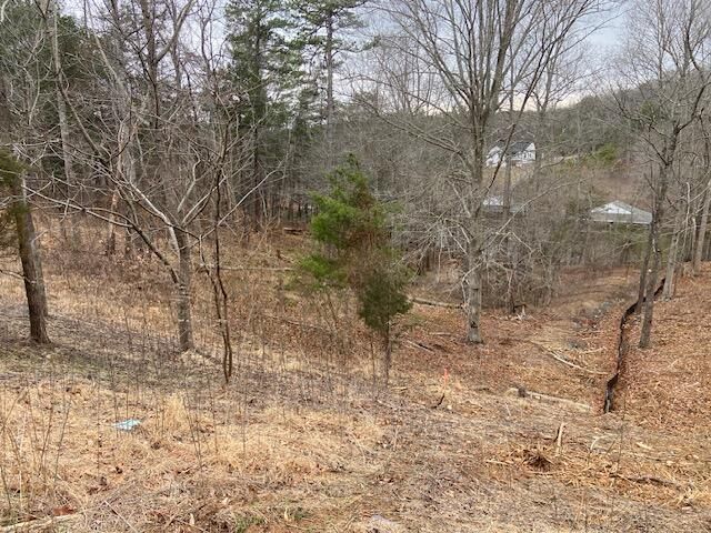 Lot 37 Lakewatch CIR, Moneta, VA 24121