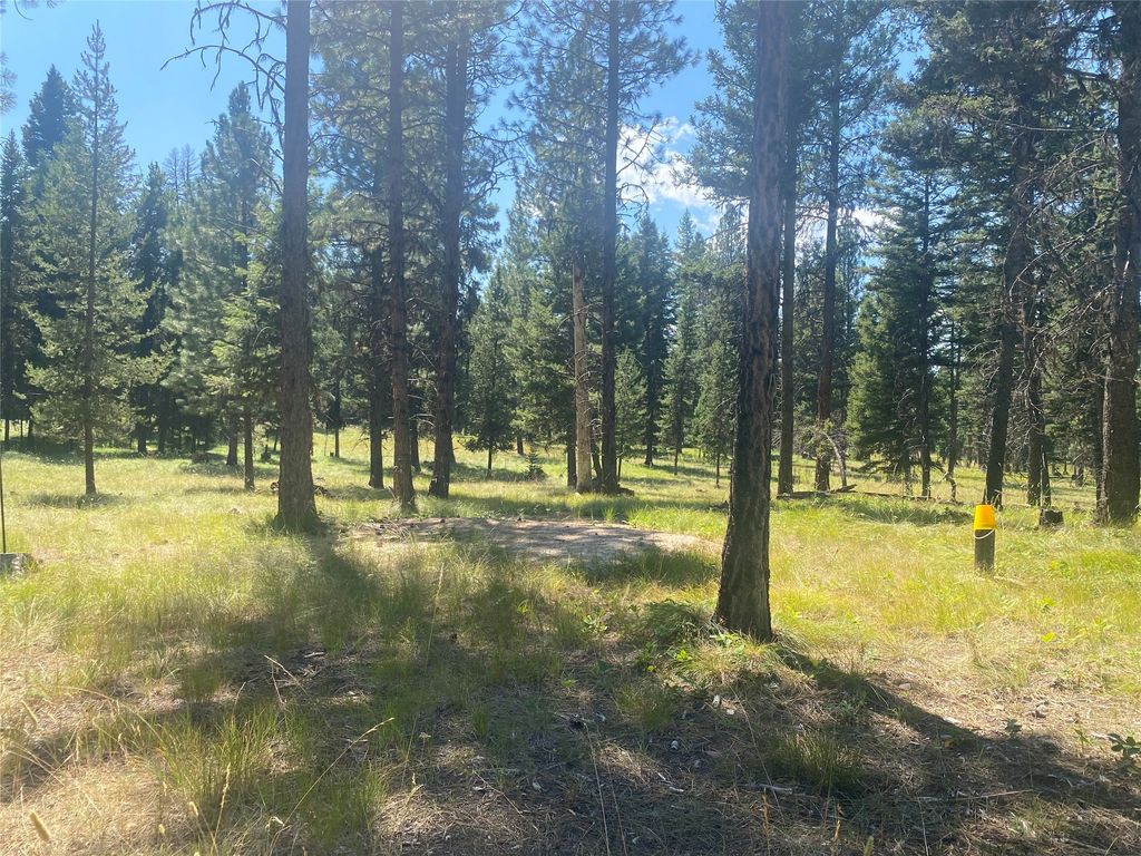 567 GLACIER DRIVE, SEELEY LAKE, MT 59868, SEELEY LAKE, MT Clearwater