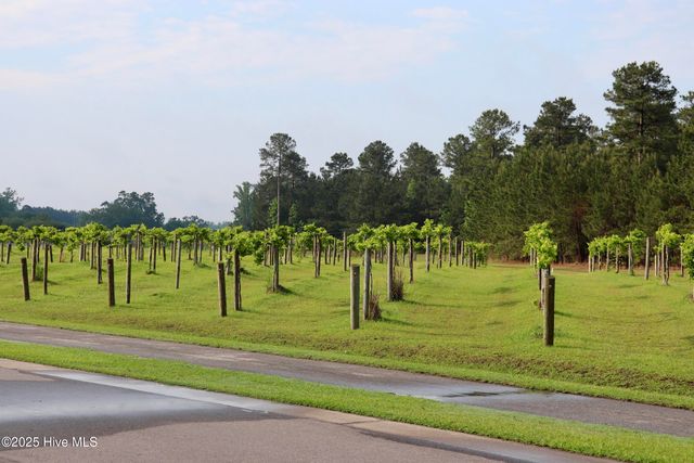 135 Sycamore Lakes Drive, Wallace, NC 28466