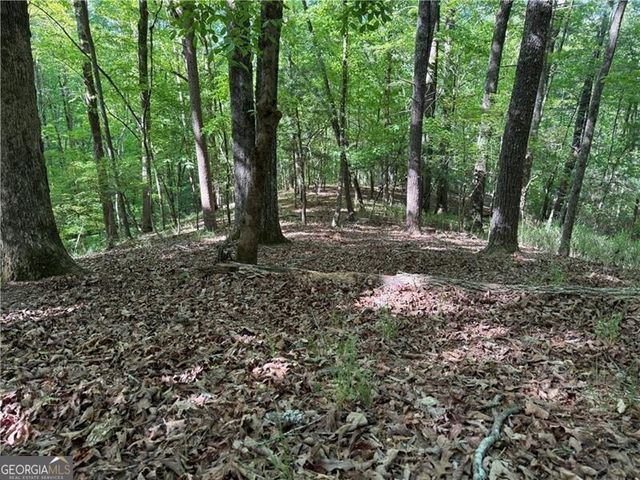 0 High Shoals Drive, Dahlonega, GA 30533