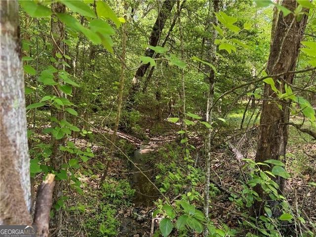 0 High Shoals Drive, Dahlonega, GA 30533