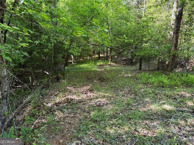 0 High Shoals Drive, Dahlonega, GA 30533