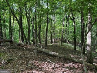 0 High Shoals Drive, Dahlonega, GA 30533