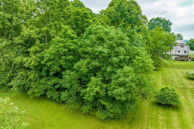 Tbd Edgefield Road, Bristol, TN 37620