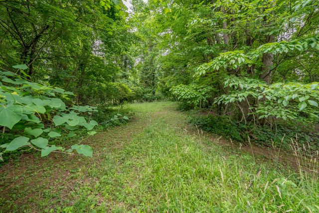 Tbd Edgefield Road, Bristol, TN 37620