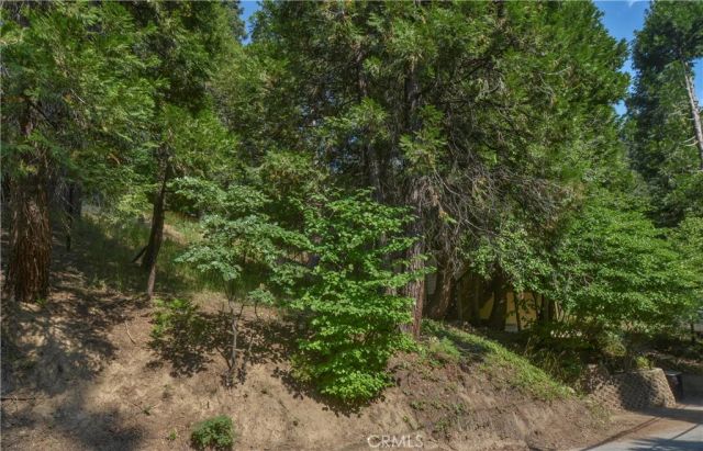 761 Arrowhead Villa Road, Lake Arrowhead, CA 92352