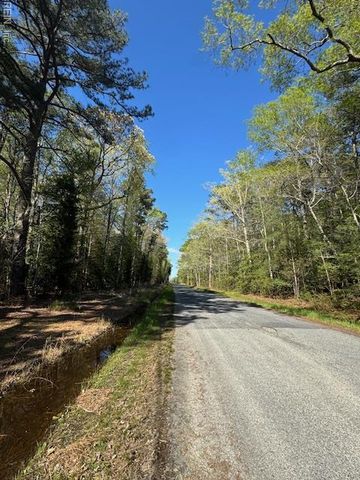 2.29 Godfrey Bay RD, Cobbs Creek, VA 23035