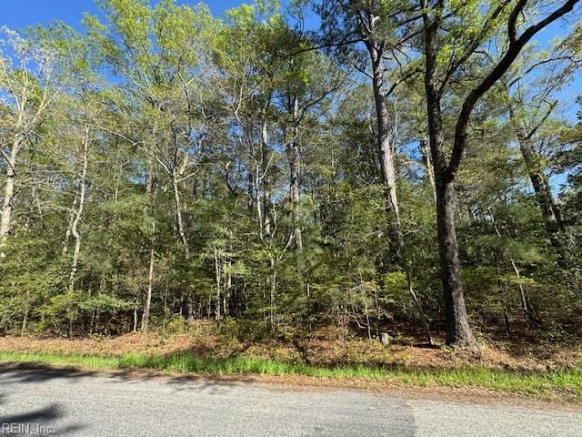 2.29 Godfrey Bay RD, Cobbs Creek, VA 23035