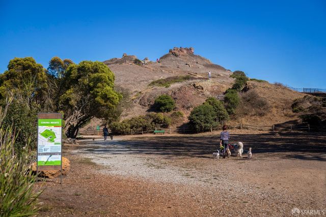 117 Divisadero Street, San Francisco, CA 94117