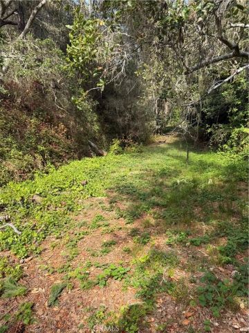 0 Sheffield, Cambria, CA 93428