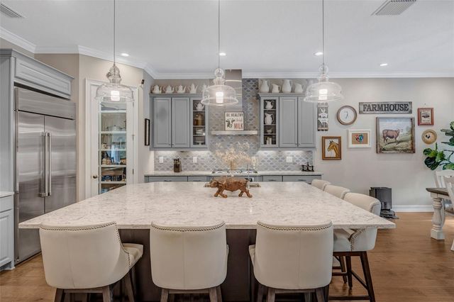 29256 PICANA LANE, Wesley Chapel, FL 33543