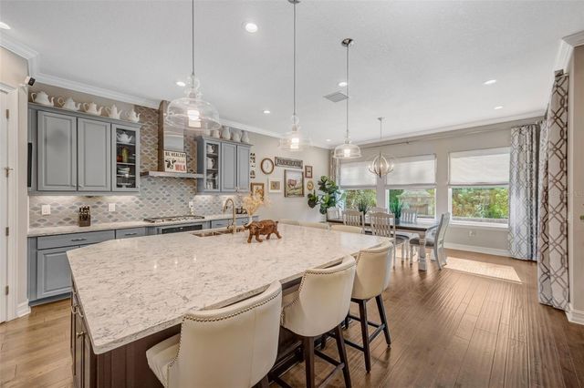 29256 PICANA LANE, Wesley Chapel, FL 33543