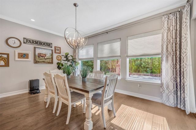 29256 PICANA LANE, Wesley Chapel, FL 33543