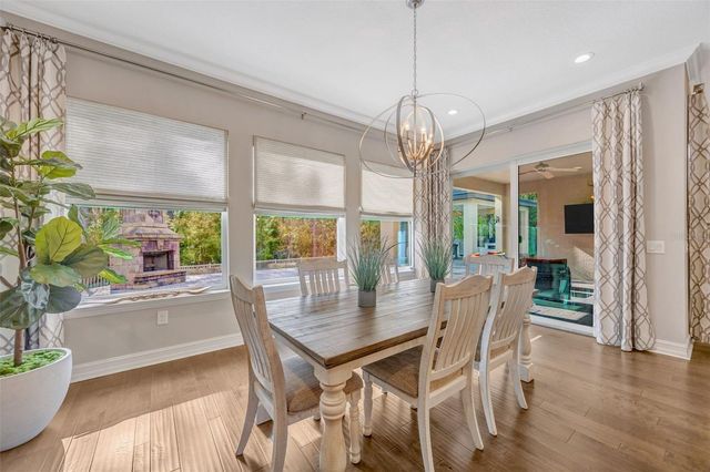 29256 PICANA LANE, Wesley Chapel, FL 33543