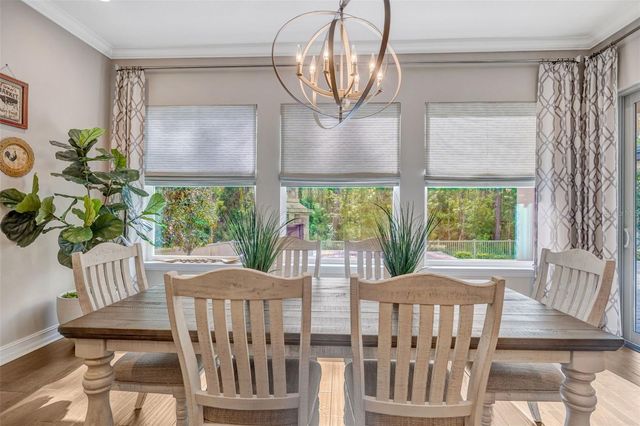 29256 PICANA LANE, Wesley Chapel, FL 33543