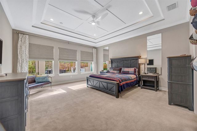 29256 PICANA LANE, Wesley Chapel, FL 33543