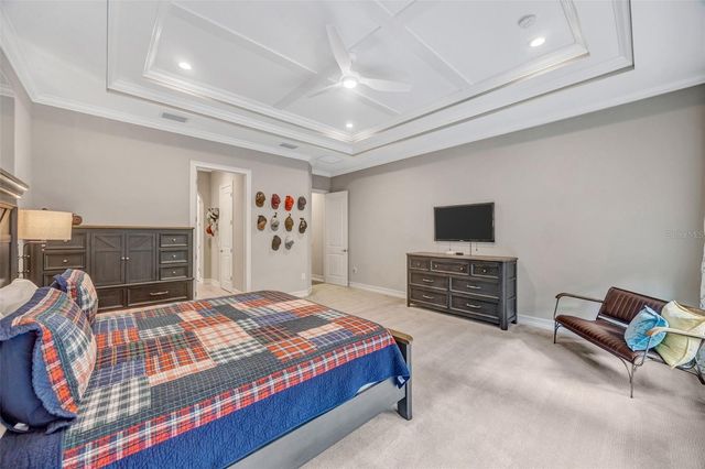 29256 PICANA LANE, Wesley Chapel, FL 33543