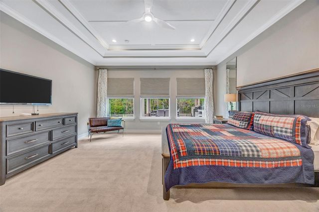 29256 PICANA LANE, Wesley Chapel, FL 33543