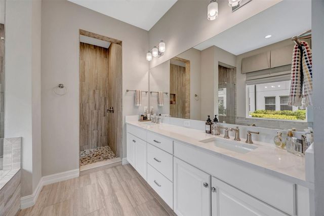 29256 PICANA LANE, Wesley Chapel, FL 33543