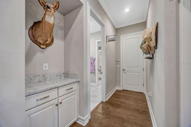 29256 PICANA LANE, Wesley Chapel, FL 33543