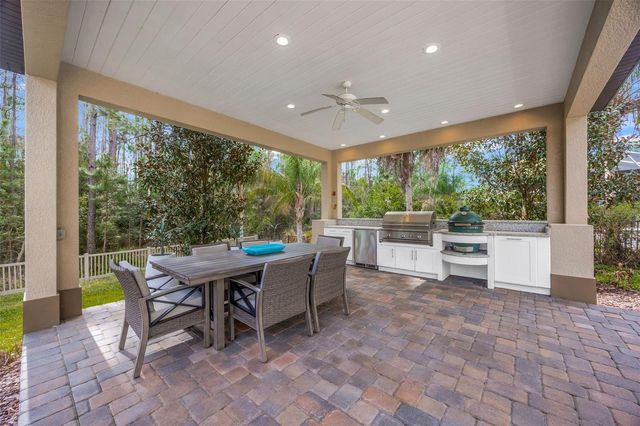 29256 PICANA LANE, Wesley Chapel, FL 33543