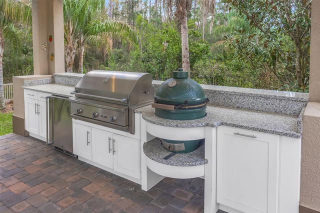 29256 PICANA LANE, Wesley Chapel, FL 33543