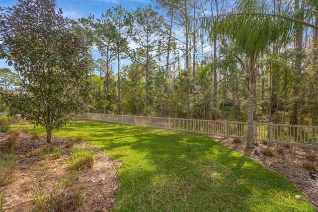 29256 PICANA LANE, Wesley Chapel, FL 33543