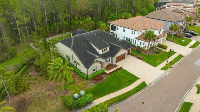 29256 PICANA LANE, Wesley Chapel, FL 33543