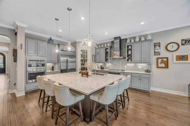 29256 PICANA LANE, Wesley Chapel, FL 33543