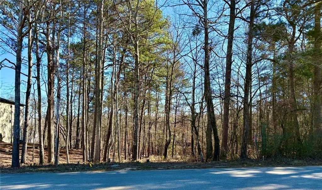 0 N Waterworks Road, Buford, GA 30518