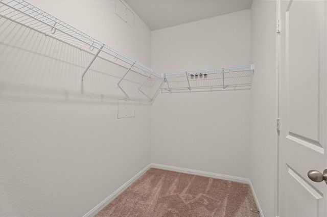 15215 Snowdrop Field Drive, Humble, TX 77396