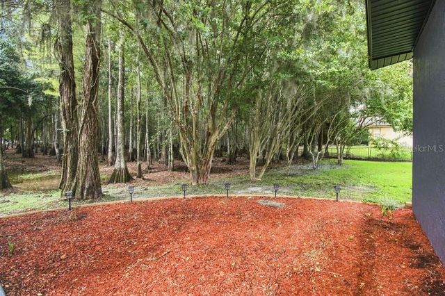 17933 EAGLE LANE, Lutz, FL 33558