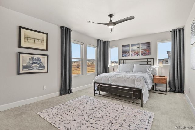 1806 Peak Prairie Lane, Monument, CO 80132