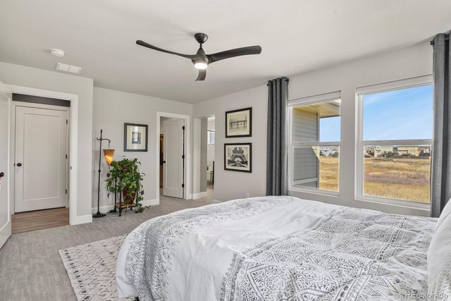 1806 Peak Prairie Lane, Monument, CO 80132