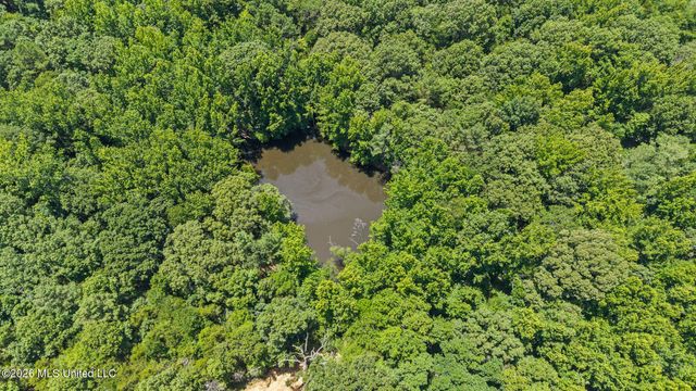 70 Wall Hill Farms, Byhalia, MS 38611