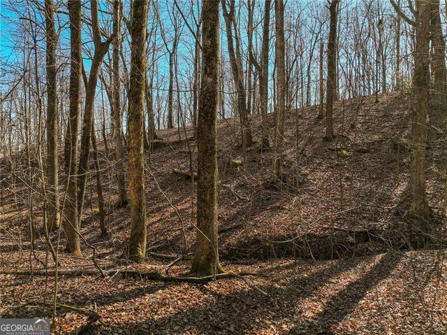 LOT 6 Mount Mincie Road, Murrayville, GA 30564