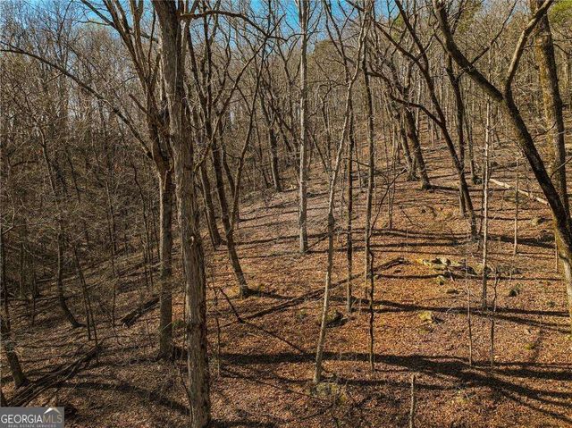LOT 6 Mount Mincie Road, Murrayville, GA 30564