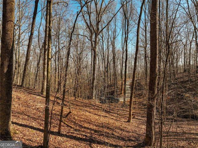 LOT 6 Mount Mincie Road, Murrayville, GA 30564