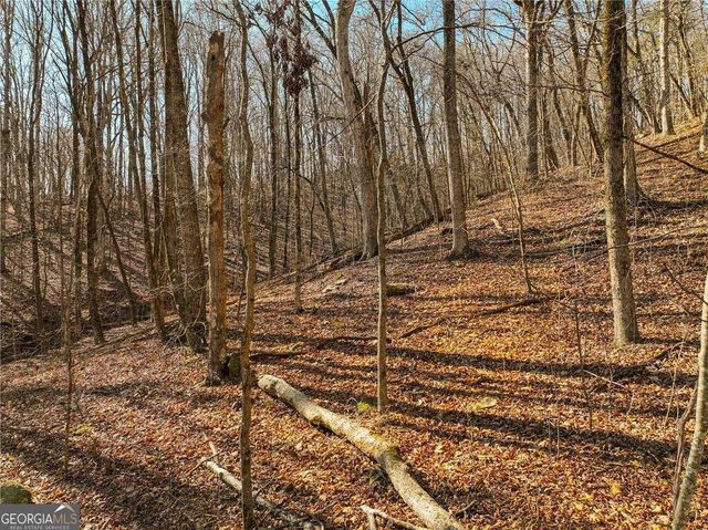 LOT 6 Mount Mincie Road, Murrayville, GA 30564