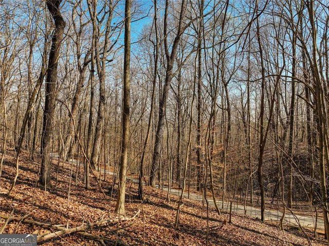 LOT 6 Mount Mincie Road, Murrayville, GA 30564