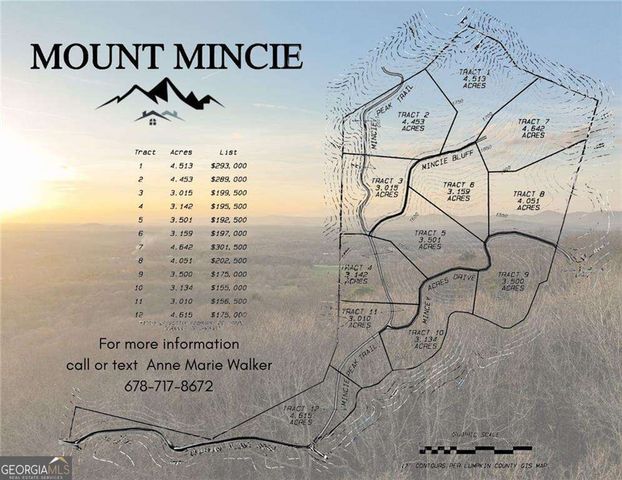 LOT 6 Mount Mincie Road, Murrayville, GA 30564