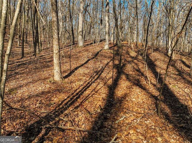 LOT 6 Mount Mincie Road, Murrayville, GA 30564