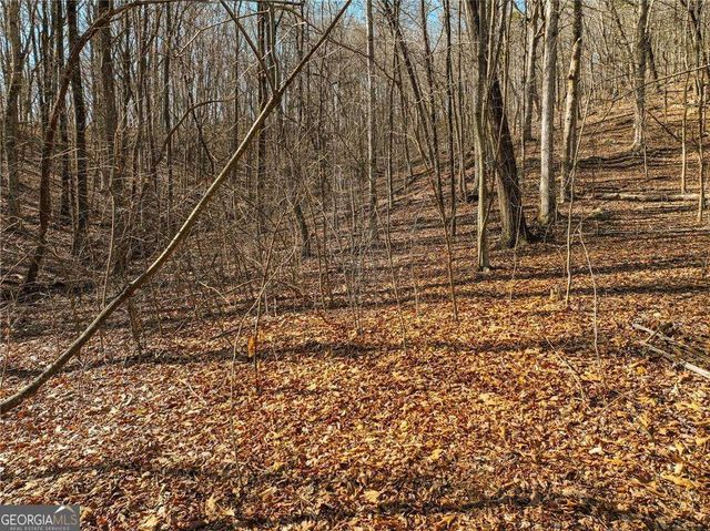 LOT 6 Mount Mincie Road, Murrayville, GA 30564