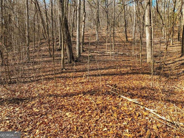 LOT 6 Mount Mincie Road, Murrayville, GA 30564